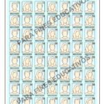 Boletas educativas elecciones primarias 1ro Octubre 2023