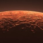 Cómo los osos de agua ayudaron a medir la hostilidad del suelo marciano