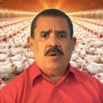 El PLD exige rescate de 303 pequeños avicultores en quiebra