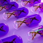 España notifica a la OMS un posible caso de transmisión humana de gripe porcina A(H1N1)