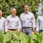 Exportaciones de tabaco de RD se incrementan más de 1,000 millones de pesos en 2025 informa INTABACO 