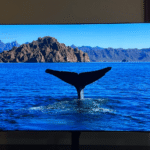 Guía para elegir el tamaño y la tecnología de TV que realmente necesitas