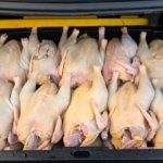 Inespre inicia venta más de un millón libras de pollo a 55 pesos