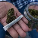 Mariguana para regular el desorden eléctrico en las crisis epilépticas