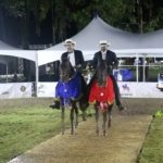 Sucesor, Victoria e Ilusión ganan Circuito Nacional Caballos Paso