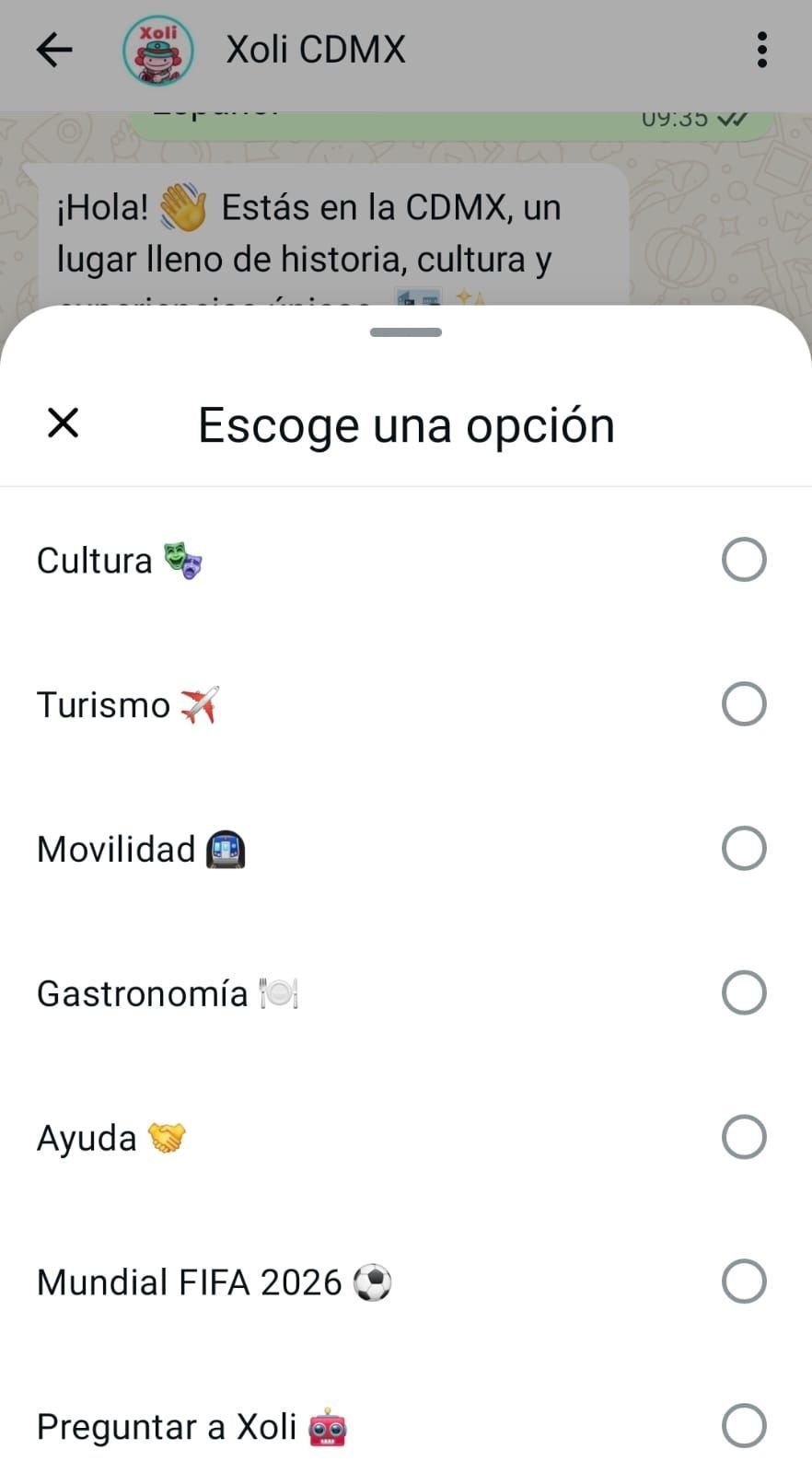 Xoli chatbot Mundial Mxico