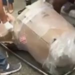 Hallan cadáver de mujer en caja de cartón barrio San Cristóbal