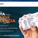 INTRANT habilita citas en línea para tramitar la nueva licencia de conducir