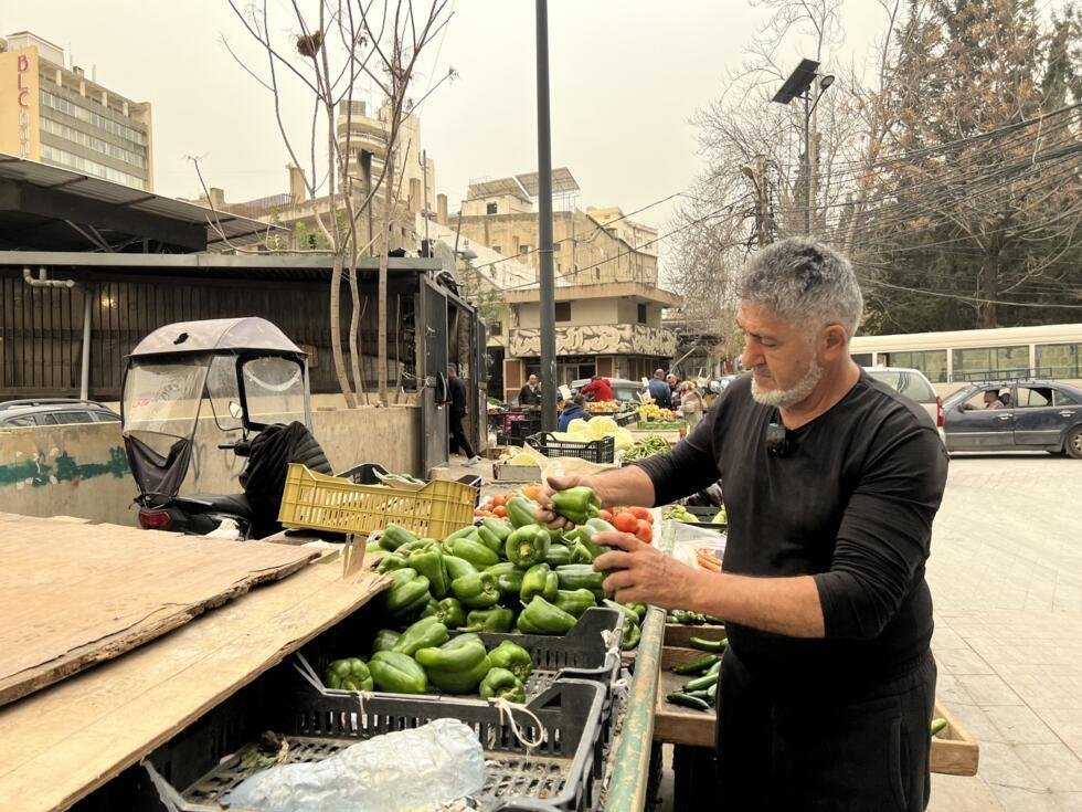 Khaled trie ses poivrons au souk de Saïda