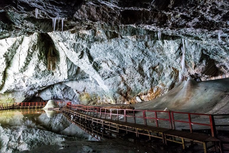 bacteria congelada resistencia bacteriana 689745728