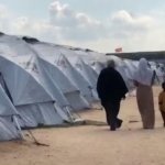 Mujeres en zonas de guerra: entre la vulnerabilidad y la resistencia