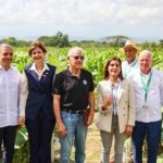 RD hace exportaciones tabaco por US$1,356 millones anuales