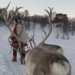 Solidaridad en el Ártico: pueblos indígenas frente a las ambiciones de Donald Trump