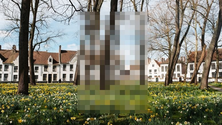 Imagen de un campo y un blureado en el centro.