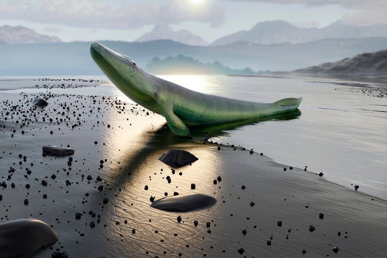 Evolución concepto.